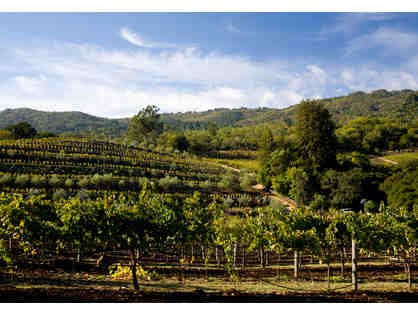Become a Sonoma Valley Winemaker
