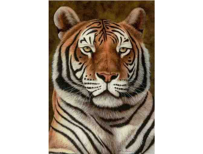 Majestic Tiger Portrait: 'Pride of India' by Andrew Bone