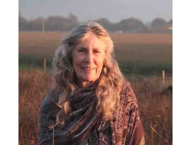 * A NEW ITEM* Bears at a Picnic, Framed Print by Alice Shaw