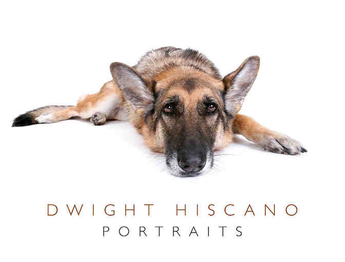 Dwight Hiscano Photography ~ Studio Portrait Session For Your Pet!