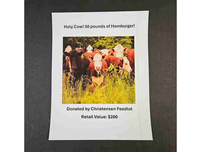 Fifty Pounds of Hamburger by Christensen Feedlot - Photo 1