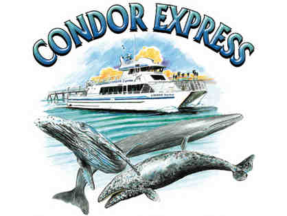 Condor Express - VIP Whale Watching Trip for Two