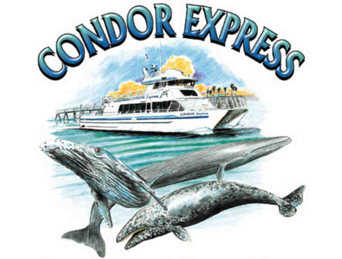 Condor Express - VIP Whale Watching Trip for Two - Photo 1