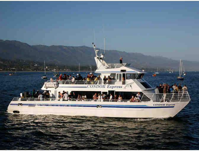 Condor Express - VIP Whale Watching Trip for Two - Photo 2