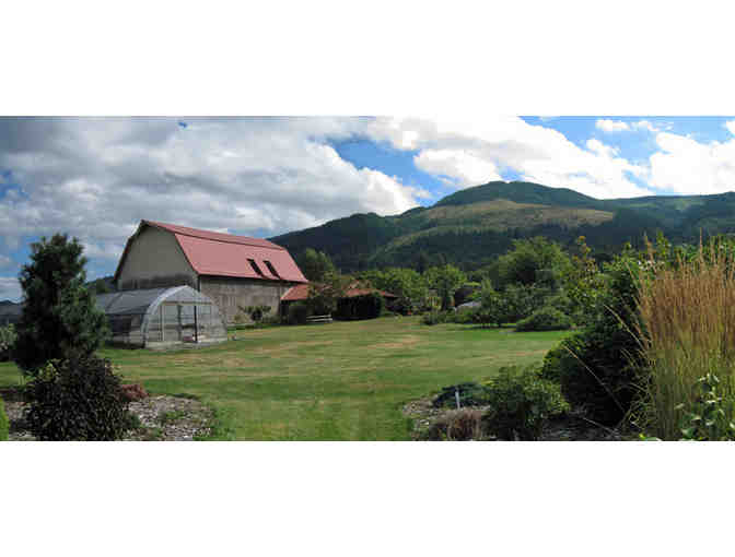 Pick your plants at Cloud Mountain Farm Center