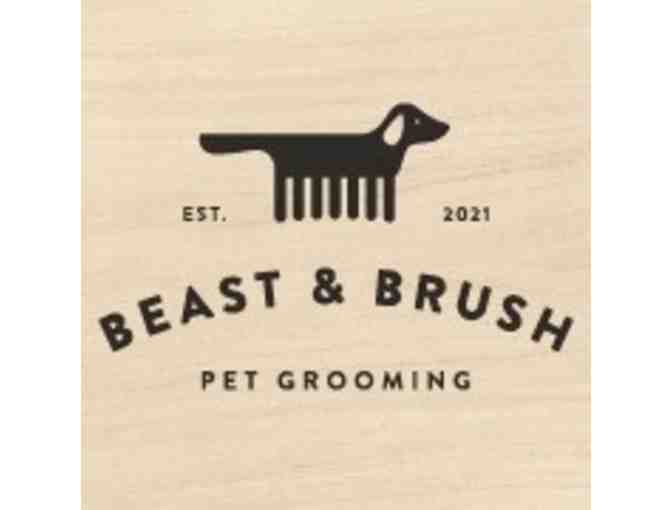 Dog Bath and Brush Service