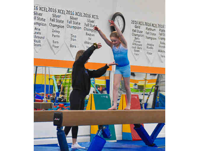 One month beginner gymnastics class