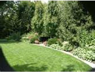 Fenella Fletcher Garden Design - Landscape Design/Planting Consultation