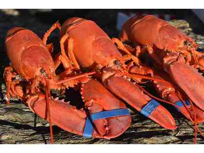 A Dozen 1lb. Lobsters