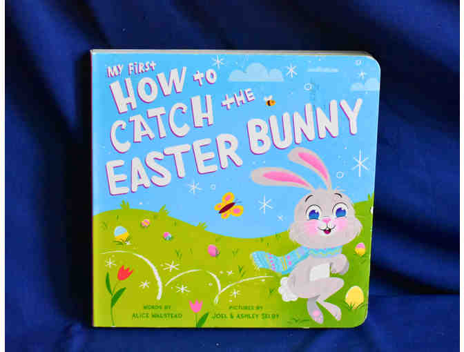 Children's Board Book Bundle