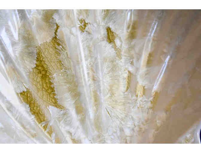 Edgecomb Potters Shell Platter