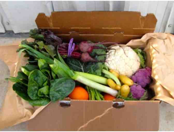 Organic Veggie Box from Riverdog Farm - 4 weeks