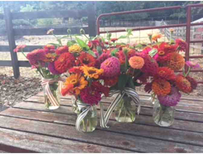 500 Zinnias for Your Summer 2018 Event