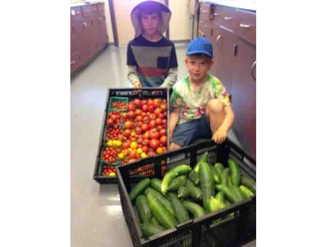 3 Months Organic Farm LUNCH at Stone Bridge School - March through May 2020