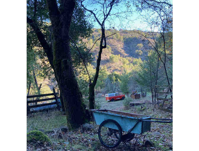 Farm to Table Cheesemaking with Lola the Cow at Pickle Creek Ranch