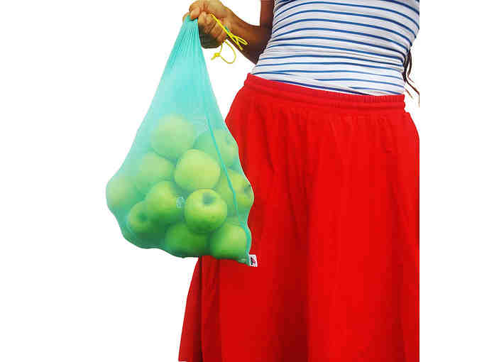 Fruit Fly Bags 3-Pack (small, medium, large)