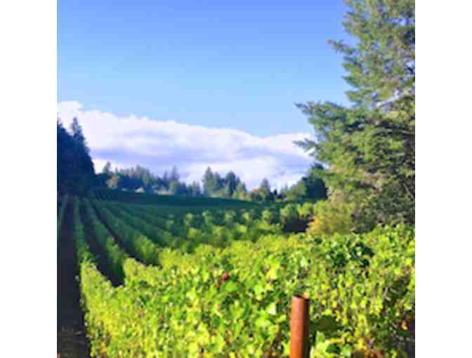 Pott Wine - 2017 Mt Veeder, Napa Valley Estate 'Incubo' Cabernet Sauvignon, 2 bottles