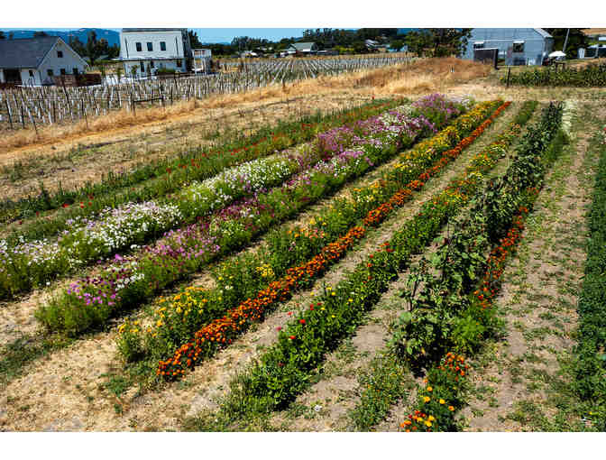 Cassidy Ranch, Sonoma: Pickleball Court Reservation, Farm Tour + 1 Flower Bouquet