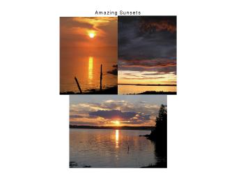 Oceanfront Cottage on Campobello Island...A Week in Paradise!