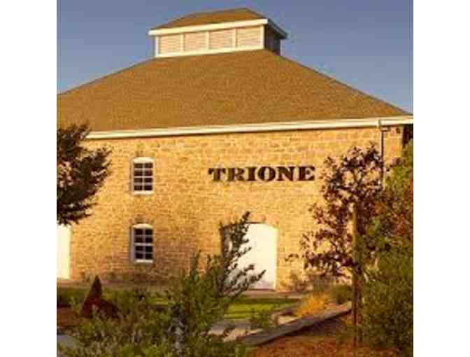 Trione Vineyards VIP Wine Tasting and Tour for 6