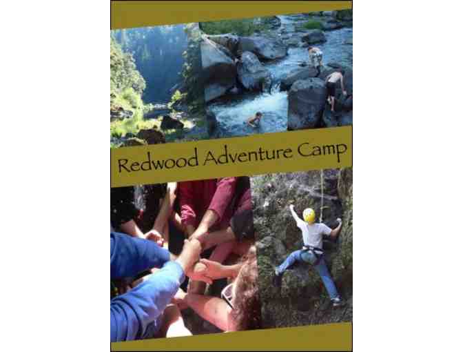 One week of Redwood Adventure Camp 2023