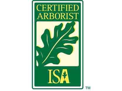 Arborist Consultation by Armando Martinez, ISA Certified