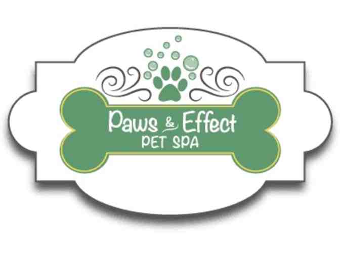 Pampered Pet Gift Basket from Paws & Effect, Santa Monica