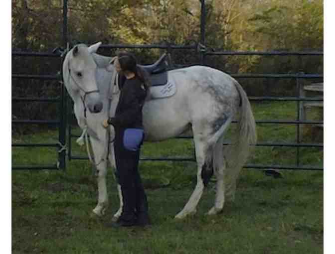 One hour Horseback riding lesson