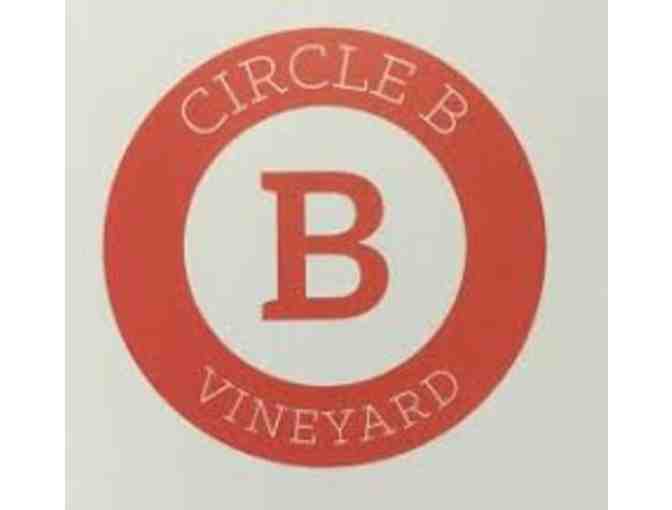 Circle B Vineyard and Cellars - Six Bottles of Mixed Reds - Award Winners!