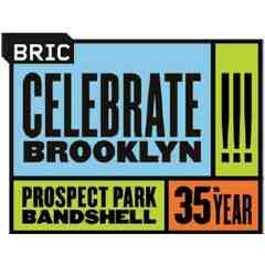 BRIC Arts | Media | Bklyn