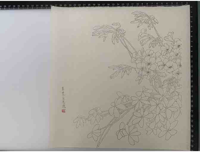Wood Sorrel, Chinese Ink painting on handmade Xuan paper