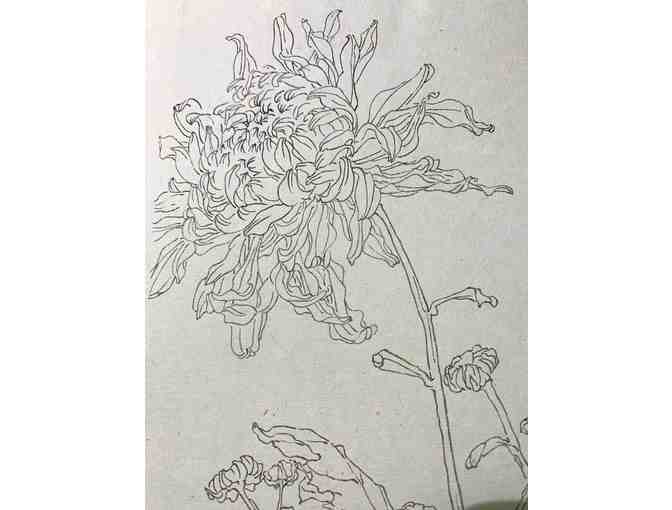 Chrysanthemum, Chinese Ink painting on handmade Xuan paper