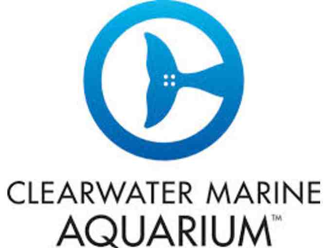 Clearwater Marine Aquarium & Palm Pavilion!!!