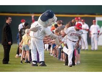 Camden Riversharks: One Bite & You're Hooked!