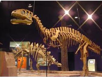 Discover the Wonders of the Natural World at the Delaware Museum of Natural History