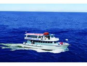 Don't Miss The Boat:  Atlantic City Cruises Dolphin Watching Cruise for 4