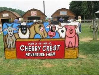 A-Maze-ing Fun at Cherry Crest Adventure Farm
