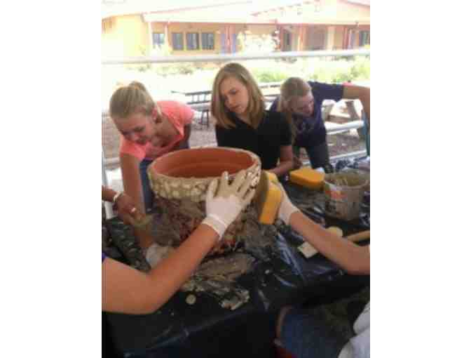 Set of Three Mosaic Pots w/ Plants | Grade 8