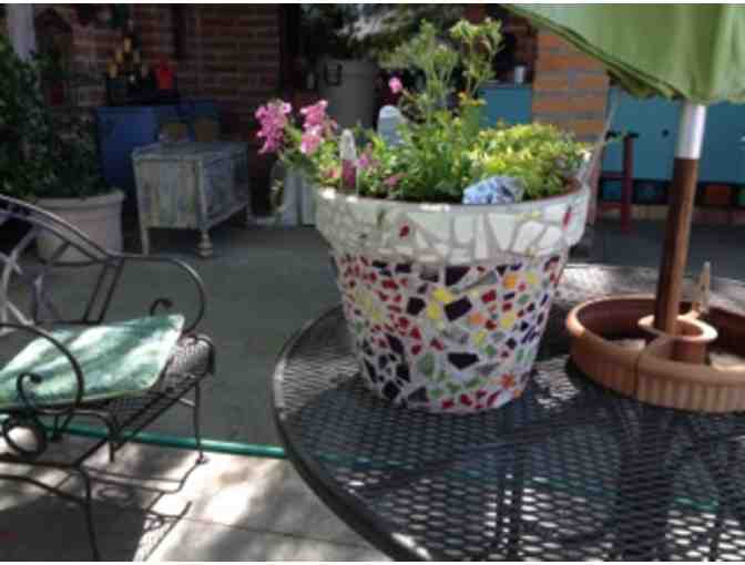 Set of Three Mosaic Pots w/ Plants | Grade 8