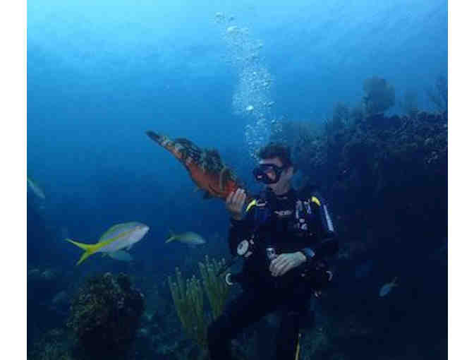 Scuba Diving in Abaco, The Bahamas