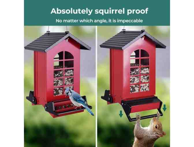 Squirrel-proof Bird Feeder