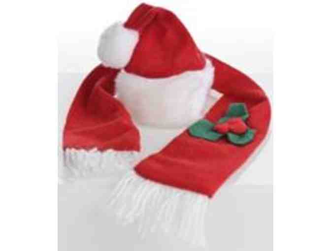 Santa Hat and Scarf Set for Plush Animals or Pets