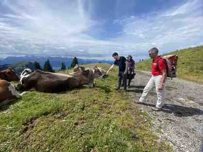 Mount Rigi Private Guided Day Tour for 2 adults