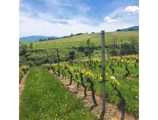 Swiss Wine Box - Rare Alpine Treasures in Three (3) Bottle Handcrafted Box - Photo 3