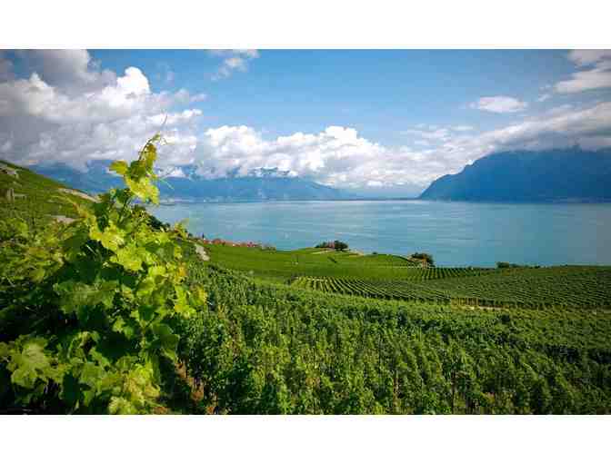 Swiss Wine Box - Rare Alpine Treasures in Three (3) Bottle Handcrafted Box - Photo 2