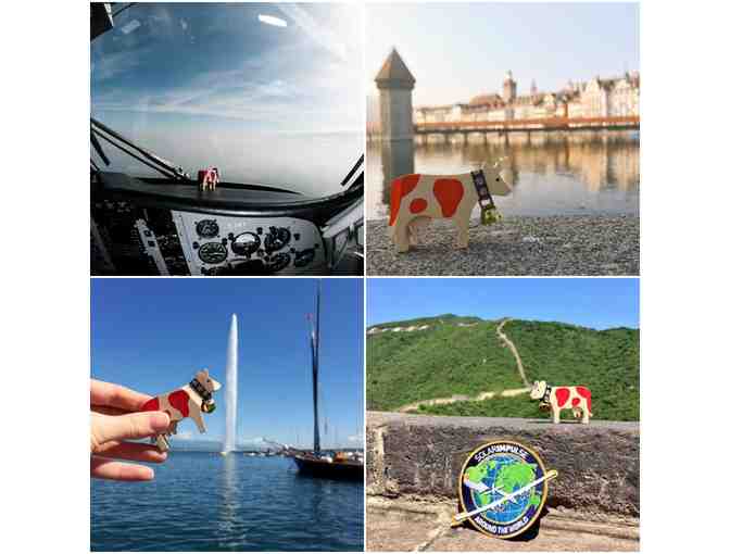 Sigg Water Bottle, Victorinox 'Swiss Card' First Aid Kit & 'Happy Lilly' bag