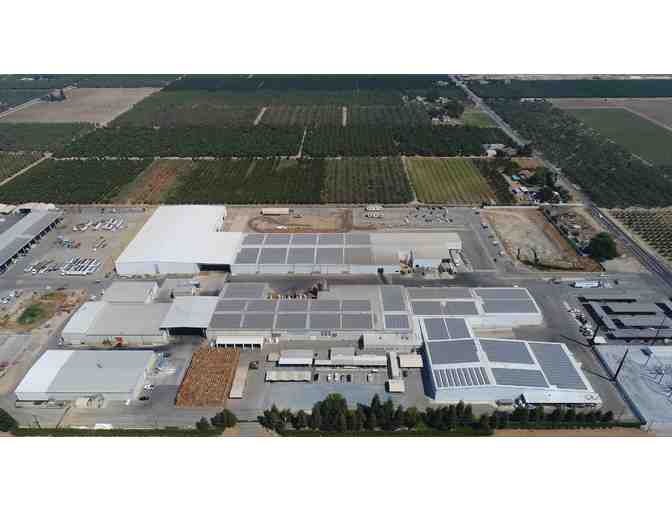 Tour for Four (4) at Grower Direct Nuts Walnut Processing Plant and Lunch