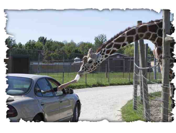 African Safari Wildlife Park - VIP Car Pass