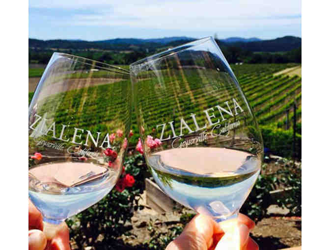 Wine Tasting for 10 at Zialena Winery in California