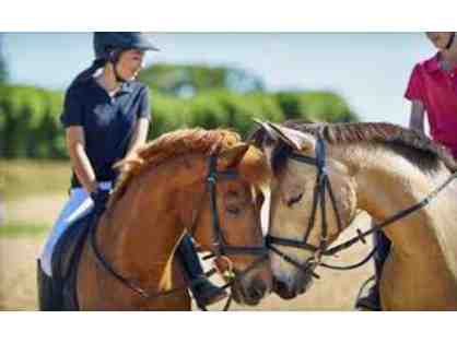 Memory Maker: Horseback Riding and Smores at the Morgan's for up to 3 People